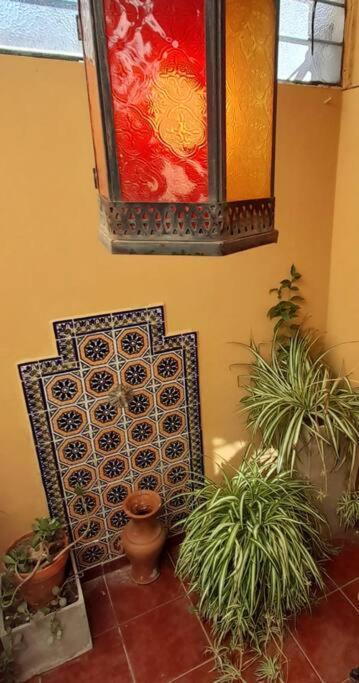 ¨Las Mayolicas¨ Hermoso Depto Con Patio Espanol Mendoza Esterno foto