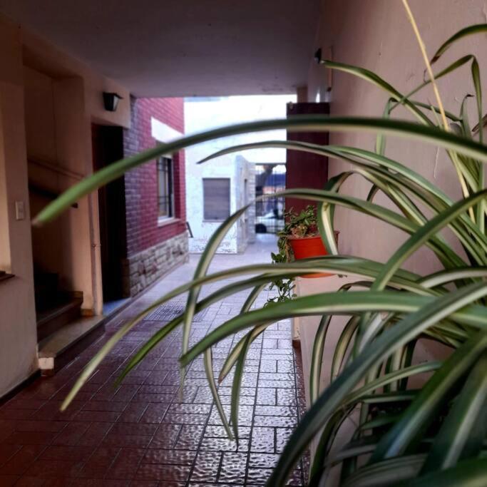 ¨Las Mayolicas¨ Hermoso Depto Con Patio Espanol Mendoza Esterno foto