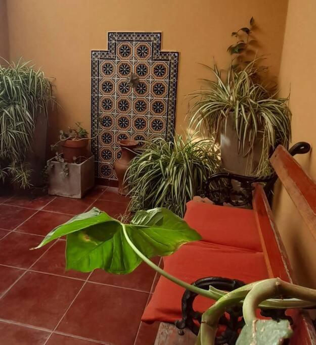 ¨Las Mayolicas¨ Hermoso Depto Con Patio Espanol Mendoza Esterno foto